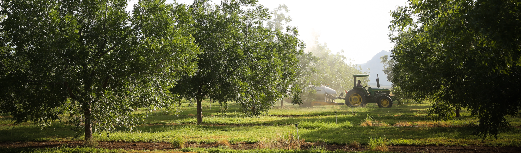 Agroindustrial